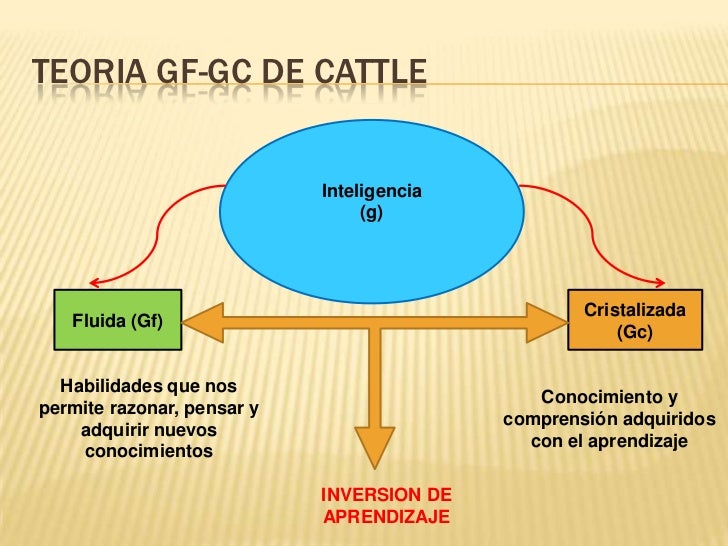 inteligencia fluida y cristalizada